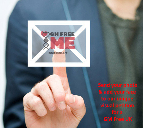 GM Free Me email