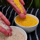 Golden_Rice