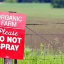 photo of an organic farm