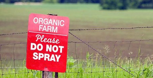 photo of an organic farm