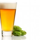 beer and hops