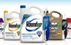 Roundup