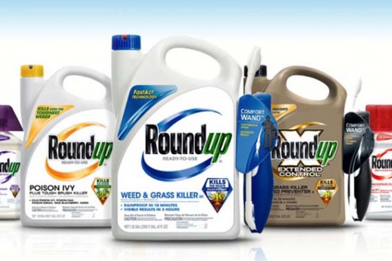 Roundup